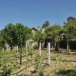 Quinta Do Vale Sanguinho Seia