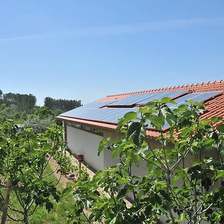 Quinta Do Vale Sanguinho Seia