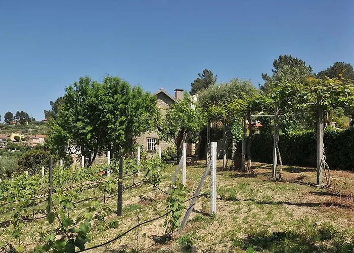 Quinta Do Vale Sanguinho Seia